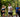Why Cardio Is Important: The Key to heart Health and Overall Well-Being